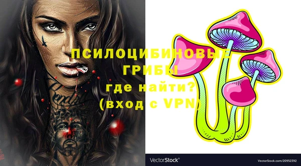 герыч Кострома