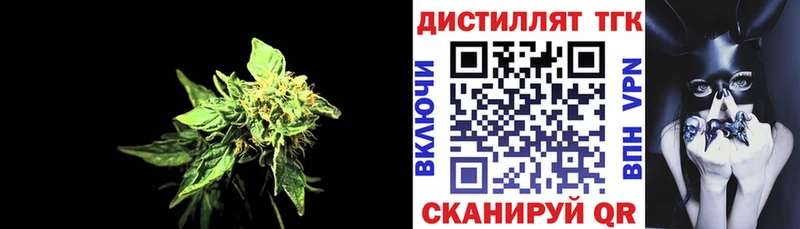 Купить где  Пудож  ТГК THC oil 