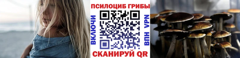 Галлюциногенные грибы Cubensis  Купить где  Пудож 